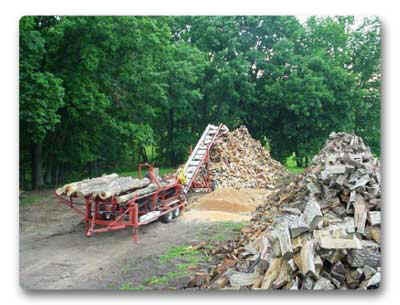 Processing Firewood for customers in Mo